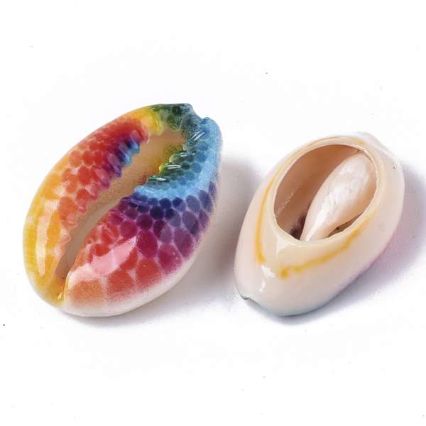 szivárványos porceláncsiga 1 db