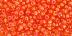 12101_TR-11-957_detail