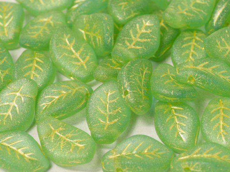 12830_tauto-800_61091c40351c5leaves9x146002054320m