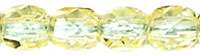13478_FP1-04-80120_detail