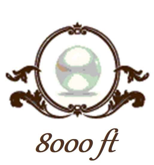 13998_8000