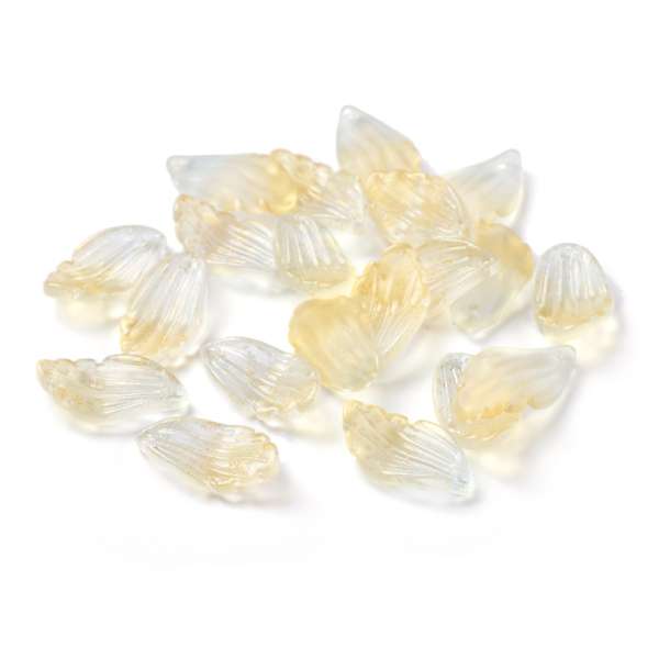 14264_GLAA-Z001-02D-1