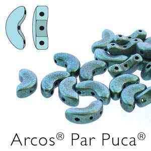 13543_ARC510-23980-94104-1