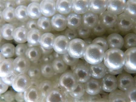 3819_P1210230_(600_x_450)
